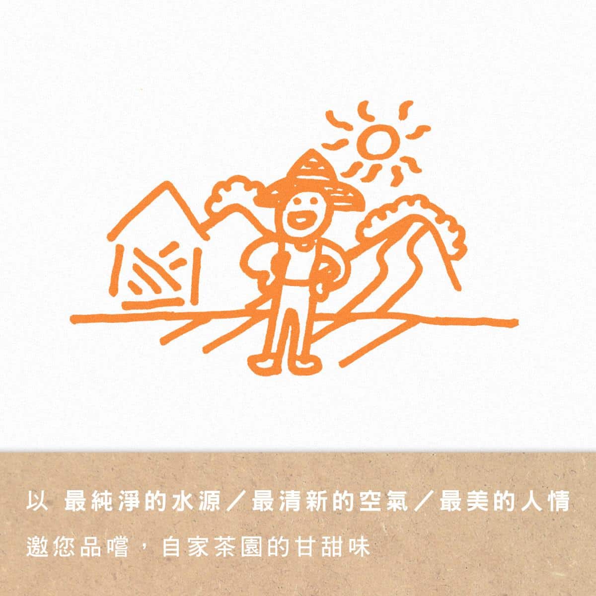 台灣茶點坪林特產茶糖來自水源純淨坪林